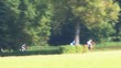 Video: Horse races Horse races