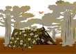 camping