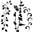 Collection for designers, plant vector set