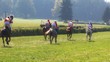 Video: Horse races -slow motion Horse races -slow motion