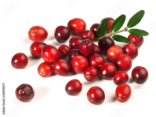 Photo: Cranberries Cranberries