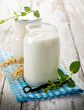yogurt with vanilla stick and mint leaves