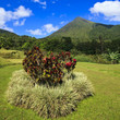 Arenal National Park Arenal National Park