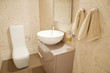Interior modern toilet