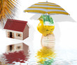 concept retraite sous le soleil des tropiques concept retraite sous le soleil des tropiques