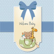 new baby announcement card with bag and same toys