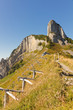 hiking path with avalanche protection timbering hiking path with avalanche protection timbering