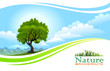 Tree with Graphic Wave Background
