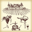 Vector hand drawn vineyard