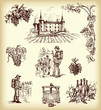 Hand drawn vector wine elements