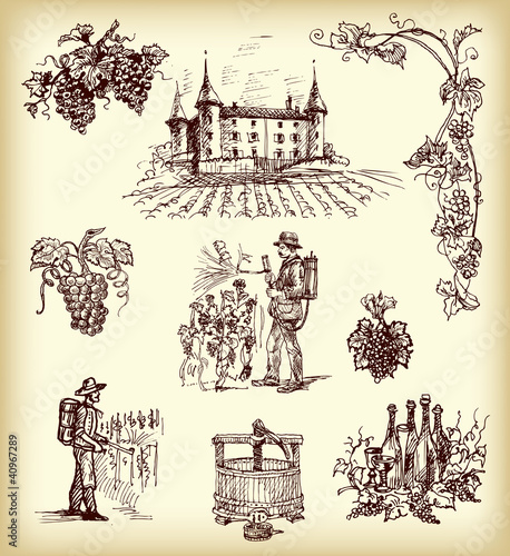 Vektor: Hand drawn vector wine elements Hand drawn vector wine elements