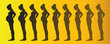 pregnancy process