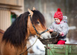 Child feeding a horse, sitting on a cart in the winter