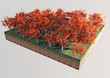 Alberi piante foglie rosse sezione terreno