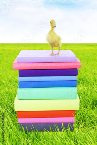 Photo: Duck standing on stack of books Duck standing on stack of books