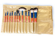 Set of make-up brushes in golden leather case isolated on white