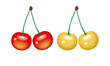 cherry