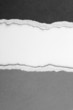 Ripped paper