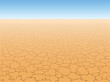 Desert