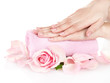 Pink rose with hands on white background