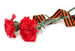 carnations and St. George