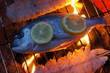 Fischh