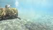 Outlet pipe discharging some form of waste into the ocean.