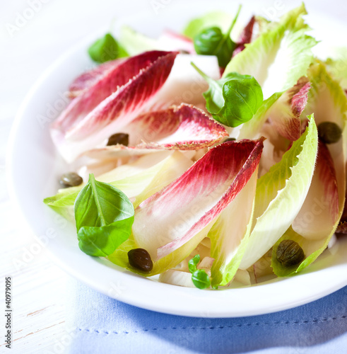 Photo: Chicory Salad Chicory Salad