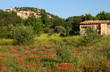Provence village and poppies
