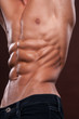 Torso with six pack