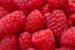 A full frame of red raspberries A full frame of red raspberries