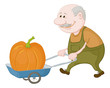 Men driven truck with pumpkin