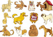 cartoon dogs set cartoon dogs set