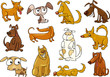 cartoon dogs set