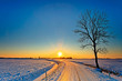 Sunset In A White Winter Lands...