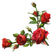 Decorations of red roses blooms