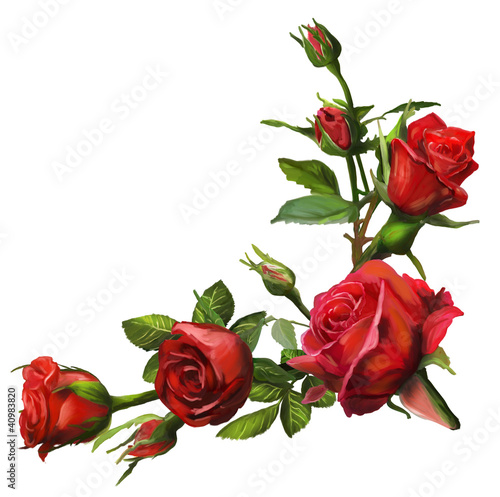 Illustration: Decorations of red roses blooms Decorations of red roses blooms