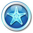 Illustration: Starfish icon Starfish icon