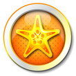Starfish icon