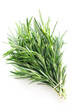 Herb Series - Rosemary
