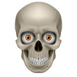 canvas print picture - Freaky Human Skull