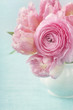 Pink flowers