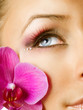 Beautiful Makeup. Face closeup