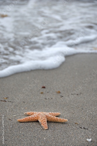 Foto: Lonelt star Lonelt star