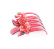 Barrette