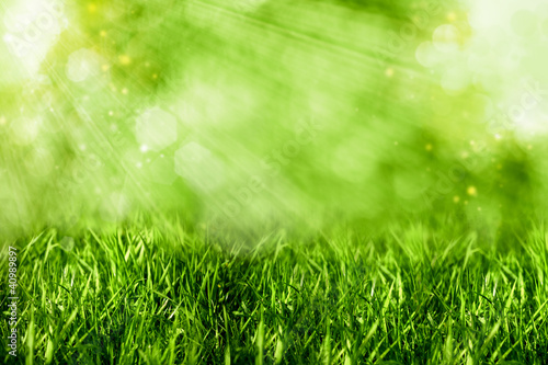 Photo: Abstract summer backgrounds with green grass and bokeh Abstract summer backgrounds with green grass and bokeh