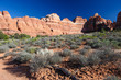 Needles in Canyonlands National Park