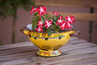 Foto: Emailschüssel mit Blume Emailschüssel mit Blume