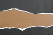 Ripped paper