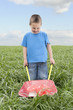 boy with wheelbarrow in meadow boy with wheelbarrow in meadow